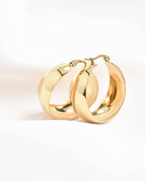 Aretes Chunky Hoops - Imagen 5