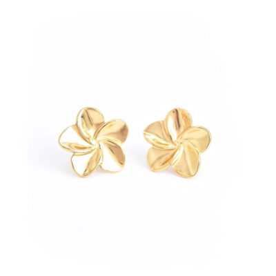 Aretes daily Spring